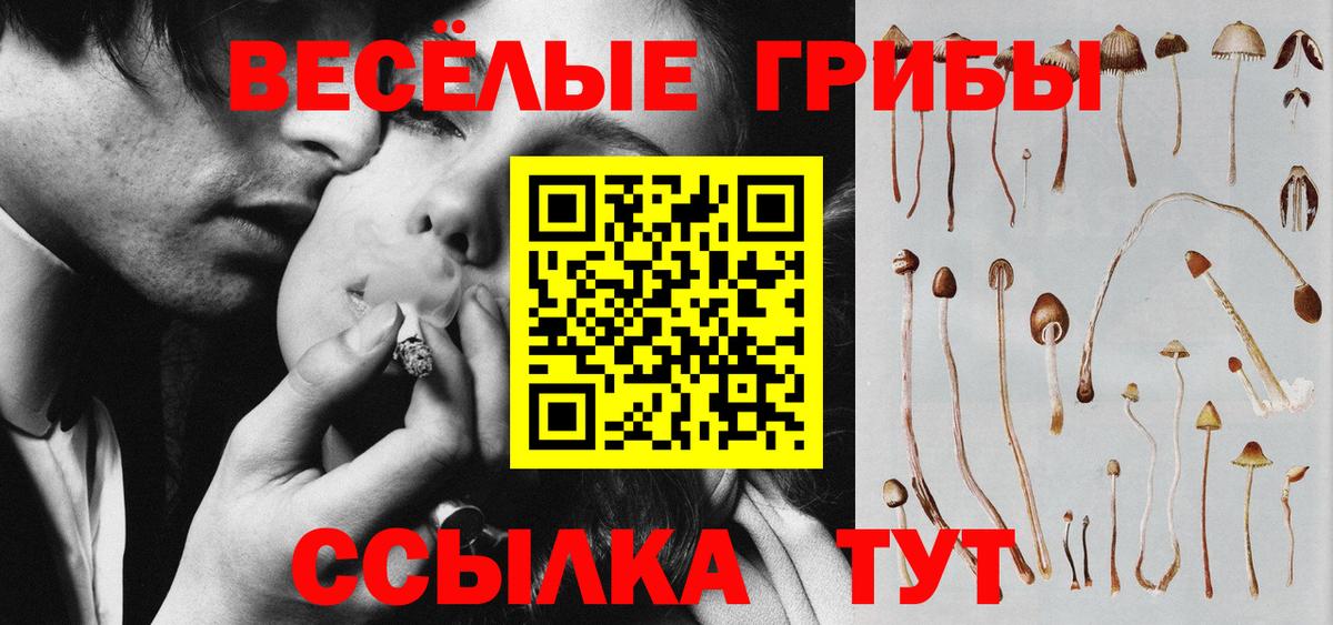 Мариинск  купить наркотик  Вход с VPN  Псилоцибиновые грибы Psilocybe 